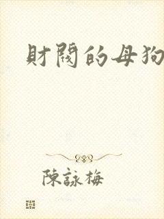 财阀的母狗们