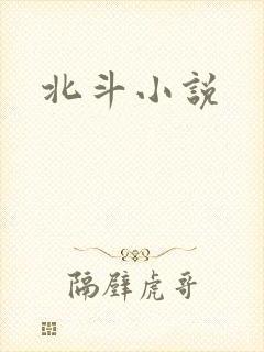 北斗小说封面