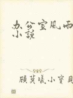 办公室风雨完整小说