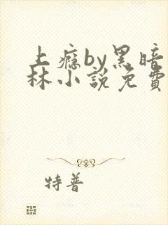 上瘾by黑暗森林小说免费