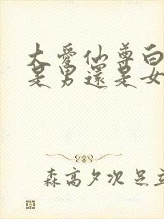 大爱仙尊白凝冰是男还是女