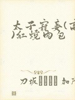 太子宠妾(高肉)红烧肉包