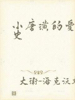 小唐璜的爱情历史