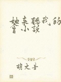 她来听我的演唱会小说