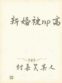 新婚被np高h封面