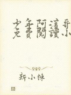 少年阿滨哥全文免费阅读小说封面