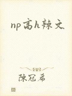 np高h辣文封面