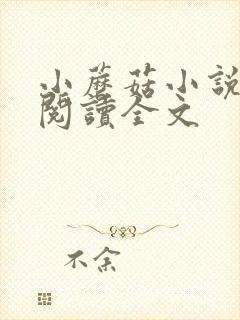 小蘑菇小说免费阅读全文