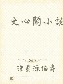 文心阁小说封面