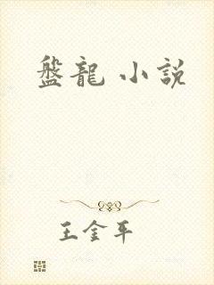 盘龙 小说