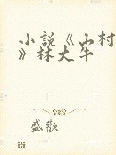 小说《山村情事》林大牛封面