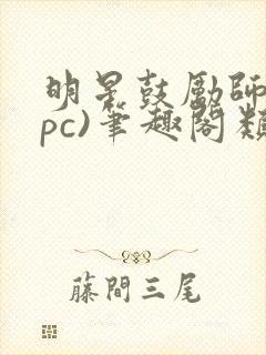 明星鼓励师(npc)笔趣阁类似