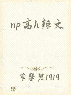 np高h辣文