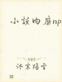 小说肉糜np封面