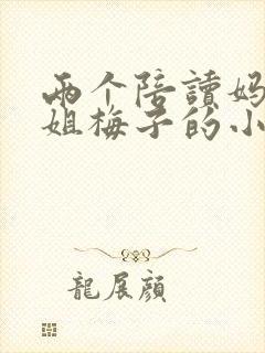 两个陪读妈妈赵姐梅子的小说