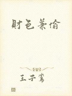 财色兼偷封面