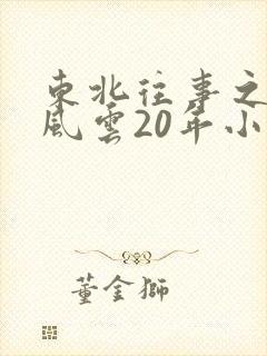 东北往事之黑道风云20年小说