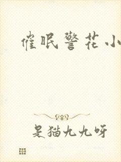 催眠警花小说封面