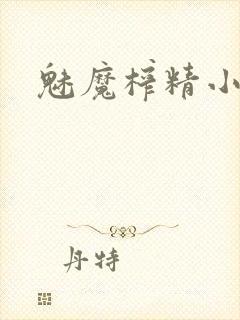 魅魔榨精小说