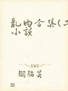 乱肉合集(二)小说