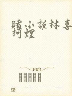 赌小说林喜朝和柯煜