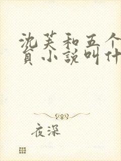 沈芙和五个消防员小说叫什么封面