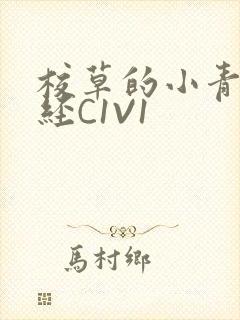 校草的小青梅不经C1V1