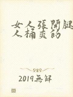 女人张开腿让男人桶爽的