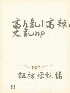 高h乱l高辣h文乱np
