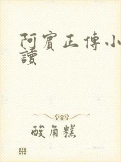 阿宾正传小说在读封面