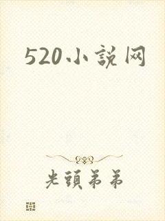 520小说网封面