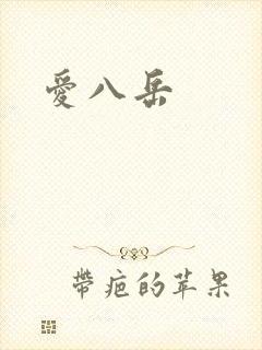 爱八岳