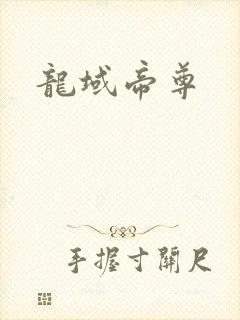 龙域帝尊封面