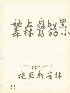 她上瘾by黑暗森林写的小说免费阅读无弹窗封面