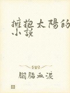 拥抱太阳的月亮小说