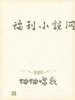 福利小说网封面