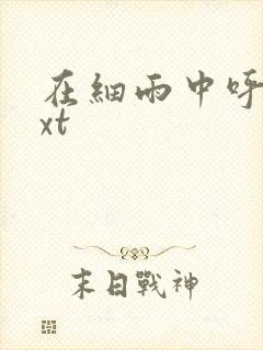 在细雨中呼喊txt