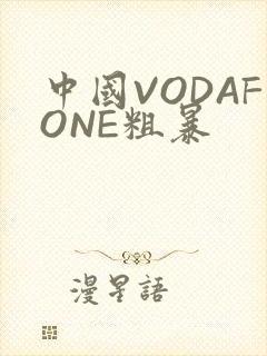 中国VODAFONE粗暴封面