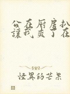 公在厨房扒开腿让我爽了在线观看