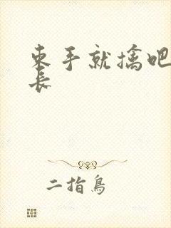 束手就擒吧韩队长