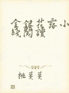 金银花露小说在线阅读