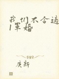 我们不合适1v1军婚