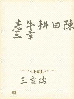 老牛耕田陈雪第三章