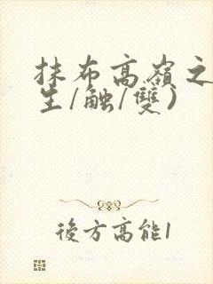 抹布高岭之花(生/触/双)封面