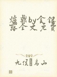 炉鼎by金银花露全文免费阅读笔趣阁封面