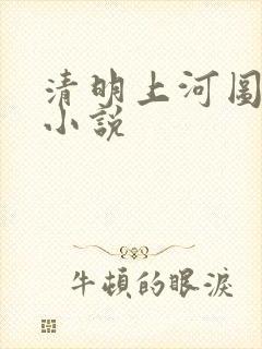 清明上河图密码小说封面