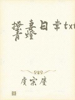 撩妻日常txt青灯封面