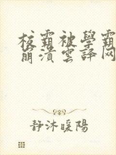 校霸被学霸玩到崩溃云译网