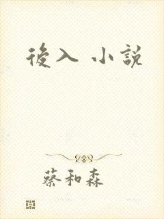 后入 小说