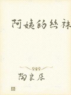 阿姨的丝袜小说